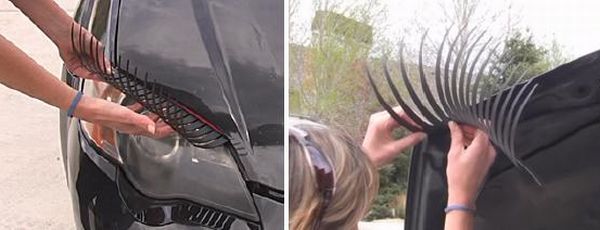 Car Eyelash