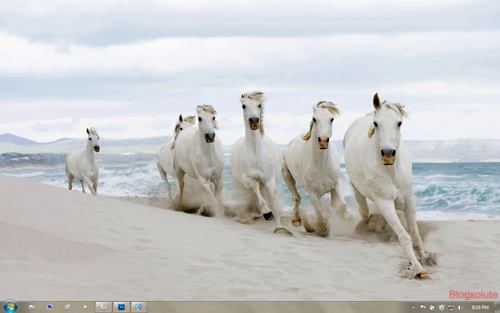Microsoft’s Official Horses Theme for Windows 7