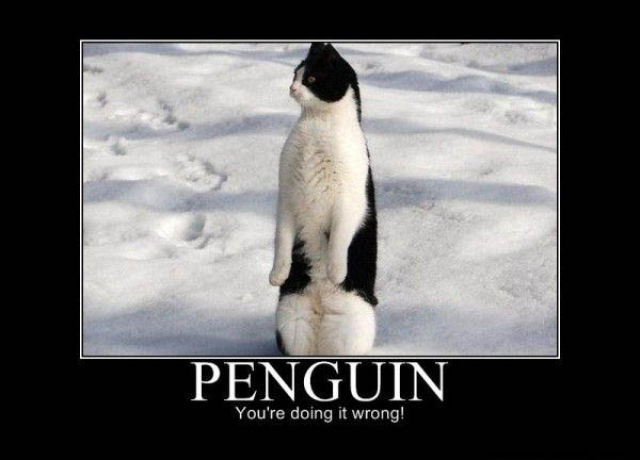 Hilarious Your'e Doing It Wrong Posters Hilarious Your'e Doing It Wrong Posters