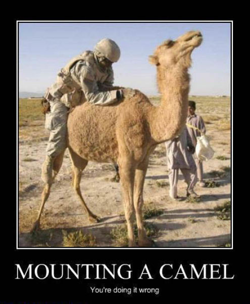 Hilarious Your'e Doing It Wrong Posters Hilarious Your'e Doing It Wrong Posters