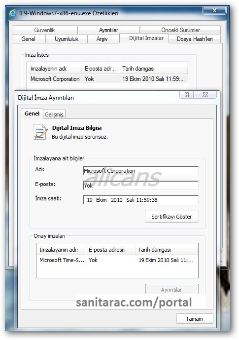 PROCURIO Internet Explorer Post Beta Build 9.0.8002.6000