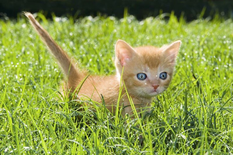 Super slike slikane u pravom trenutku