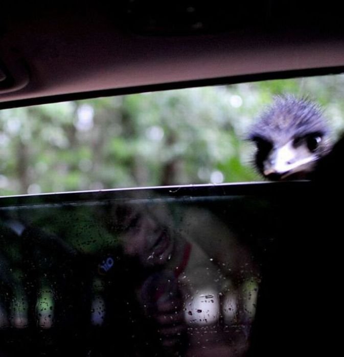 Super slike slikane u pravom trenutku