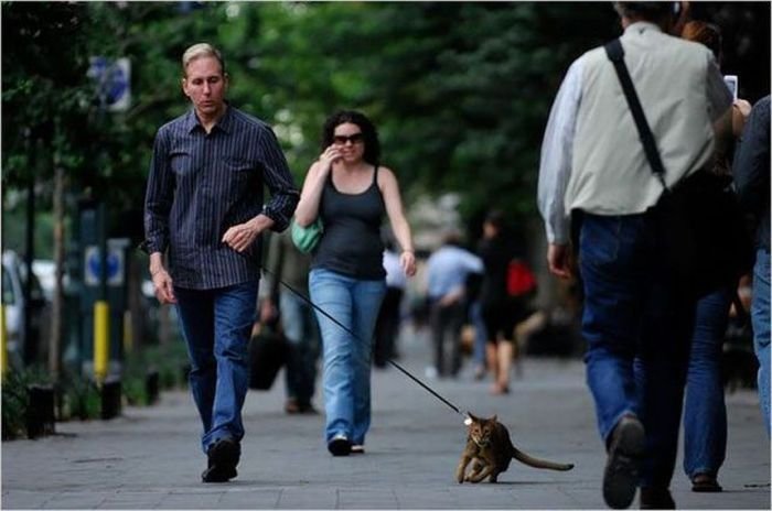 Super slike slikane u pravom trenutku