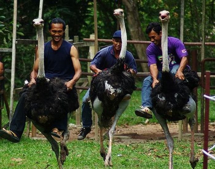 Super slike slikane u pravom trenutku