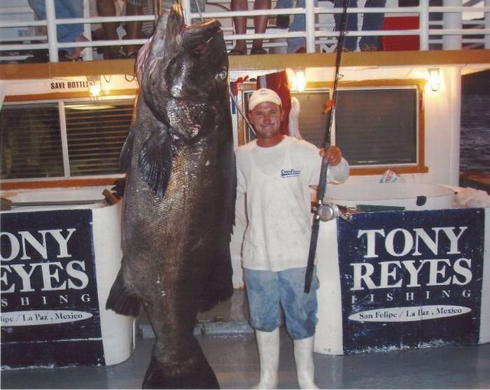 Super slike slikane u pravom trenutku