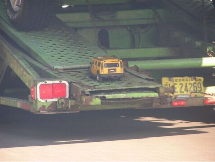 Super slike slikane u pravom trenutku