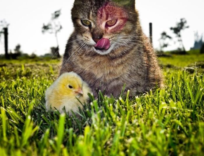 Super slike slikane u pravom trenutku