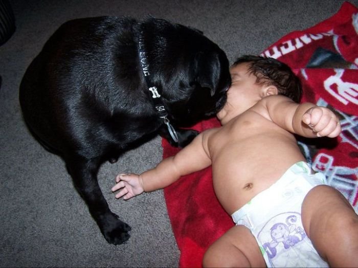 Super slike slikane u pravom trenutku