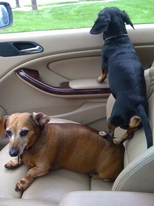 Super slike slikane u pravom trenutku