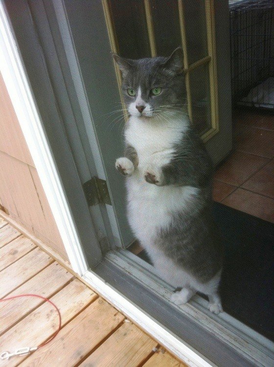 Super slike slikane u pravom trenutku