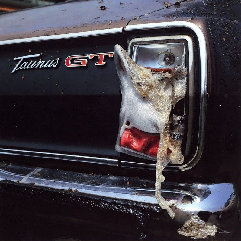 Super slike slikane u pravom trenutku