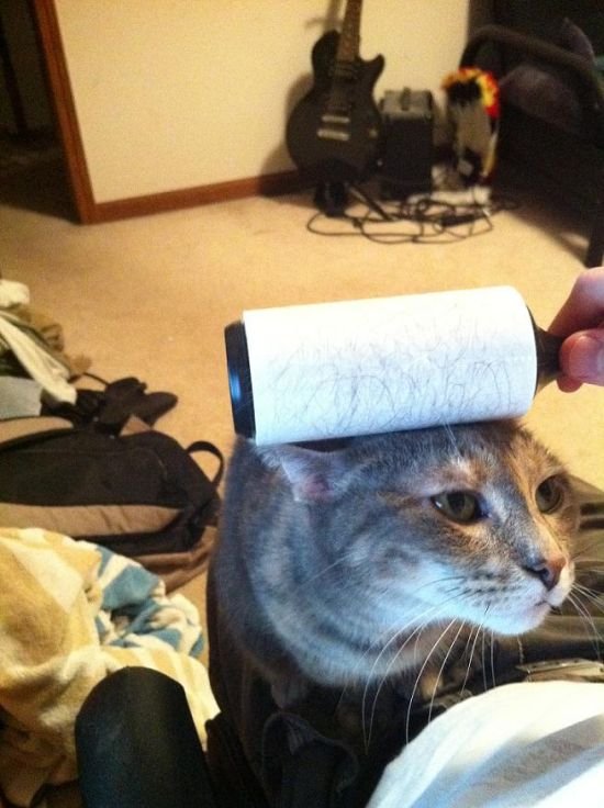 Super slike slikane u pravom trenutku