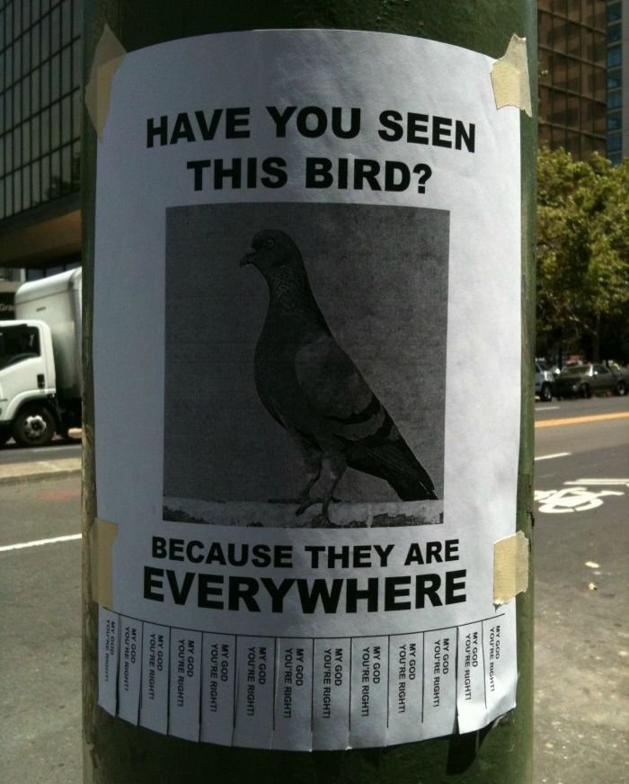 Super slike slikane u pravom trenutku