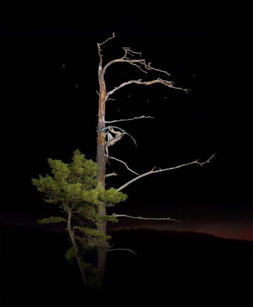 Super slike slikane u pravom trenutku